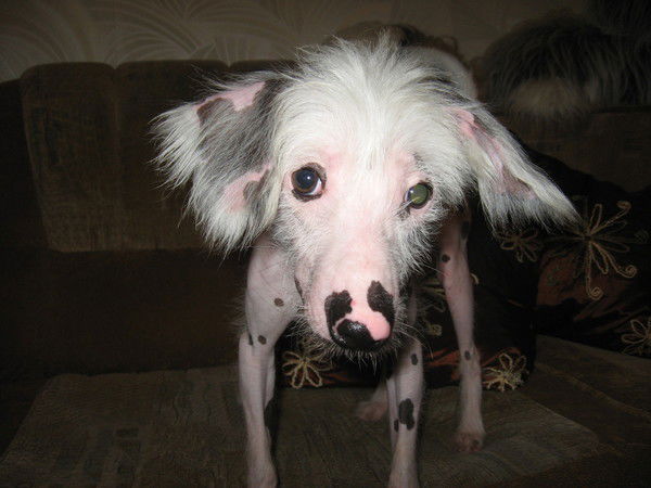 Акакий Соответствует