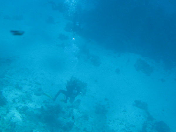 Ильнур Абдурахимов