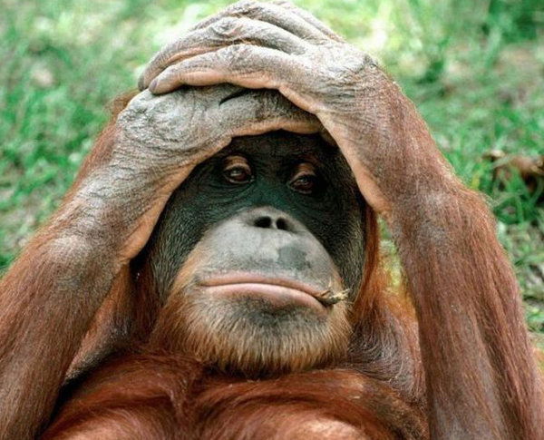 Юрий Долгорукий