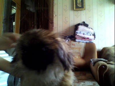 Ирина Серебрякова