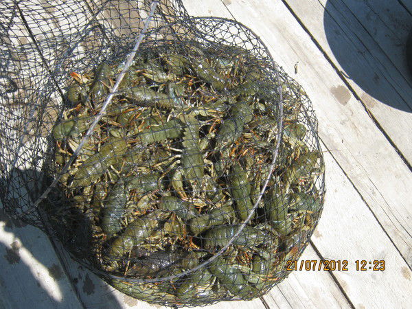 Олег Машонский