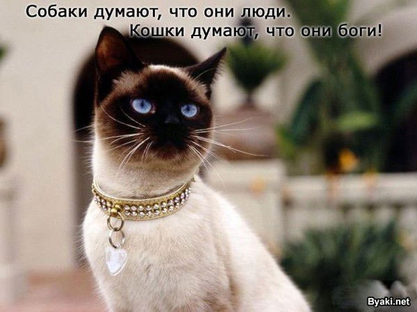 Ирина Белоглазова