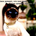 Ирина Белоглазова