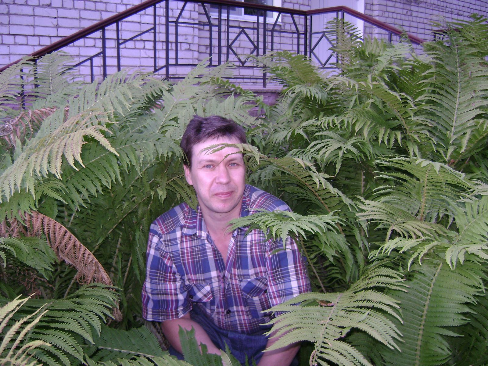 Сергей Тимофеев