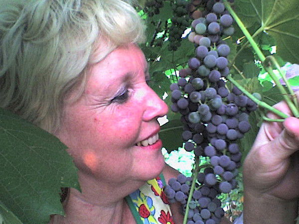 Галина Салафонова