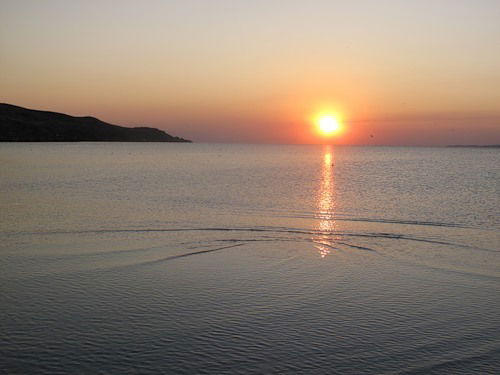 Елена Салаутина