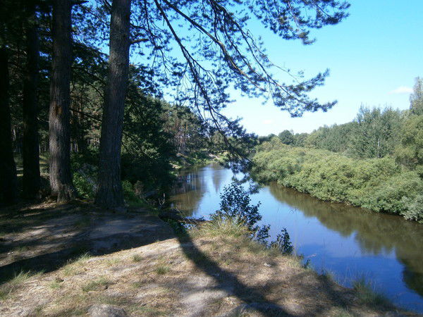 Ольга Неизвестная