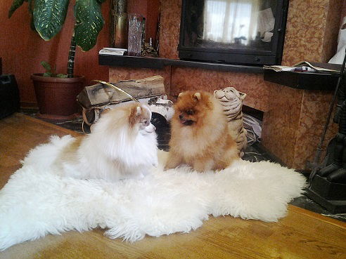 Наташа Денисова