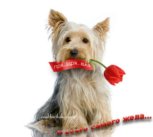 Александра Алпацкая