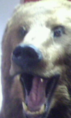 Павел Иванов