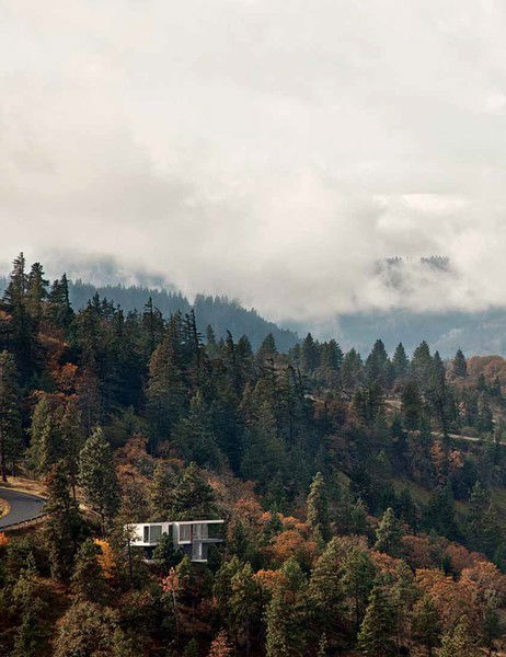 Ranida Roni Vasileva