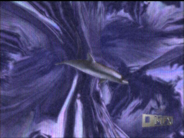 Татьяна Богомол