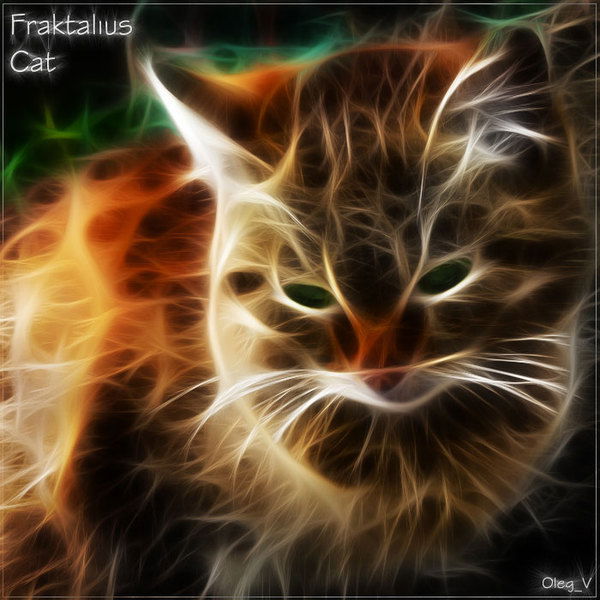 Витя Дедоборщ