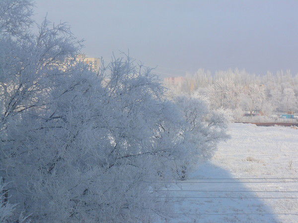 Владимир Ганичев
