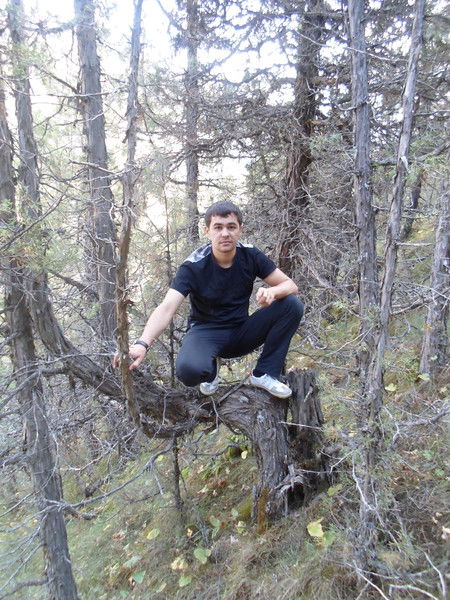 Алишер Саидов