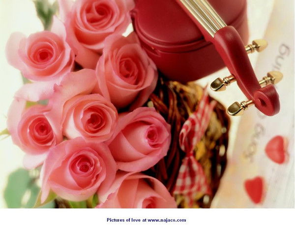 Сулушаш Тойшыбекова