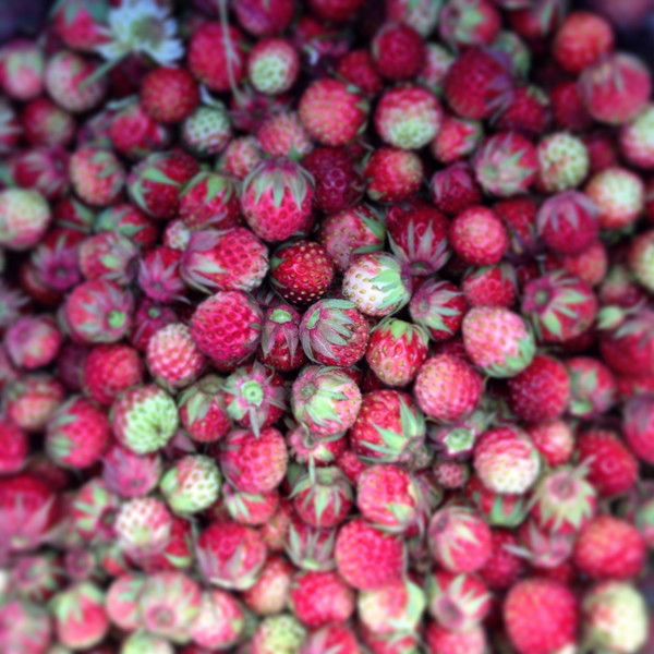 Гульнара Низаметдинова