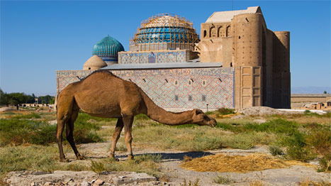 Бауыржан Ермекбаев