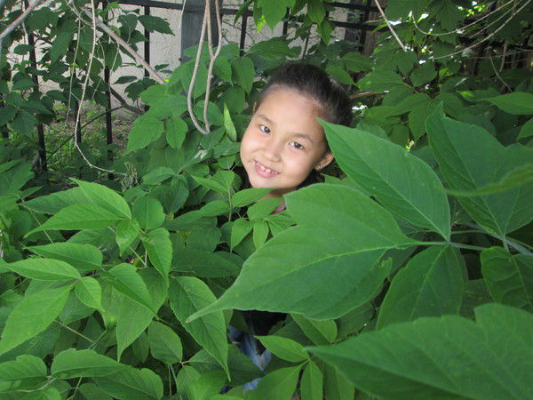 Алмагуль Матаева