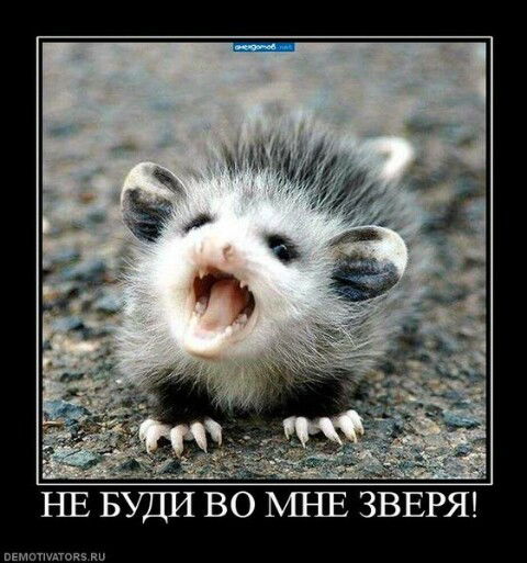 Бахыткуль Байсеитова