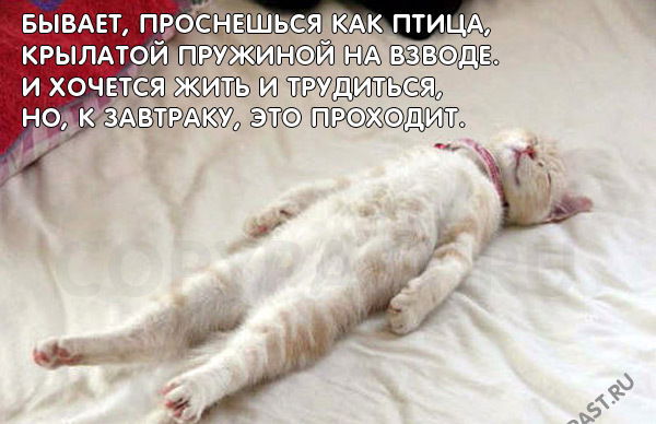 Мария Паршина