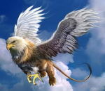 Владимир Белов