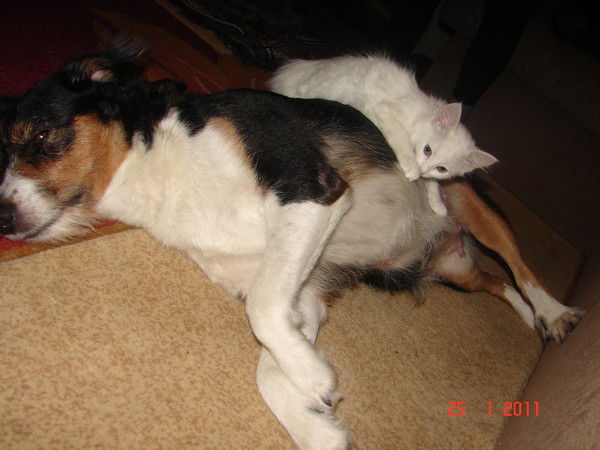 Артур Нурутдинов