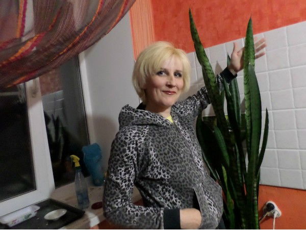 Елена Евдокимова