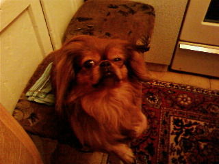 Влад Шерстов