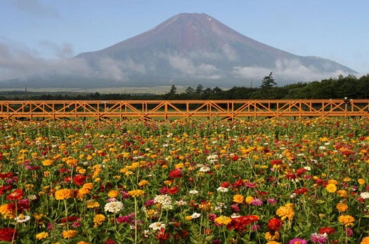 Виктор Березовой