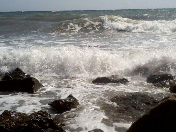 Королек Королек