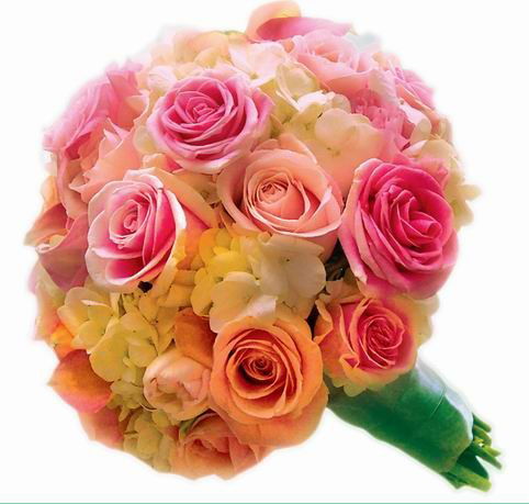 Мария Болкисева