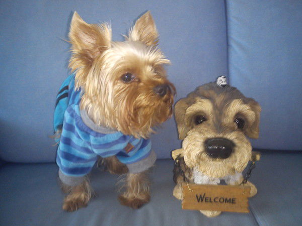 Ольга Иванова