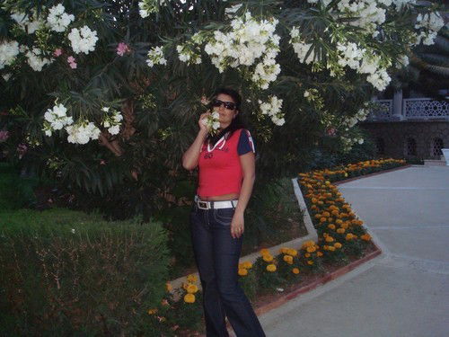 Светлана Бойко