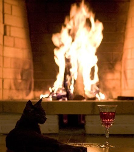 Елена Владимирова