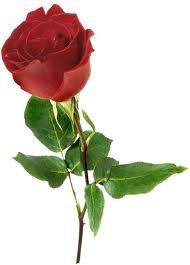 Светлана Рузина