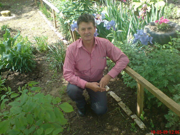 Сергей Гольдышев