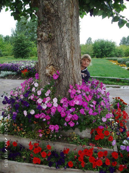 Татьяна Боровикова