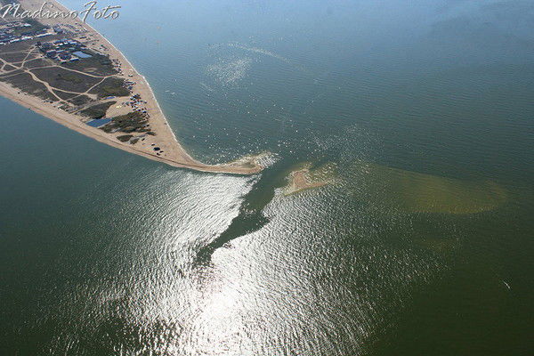 Александр Д