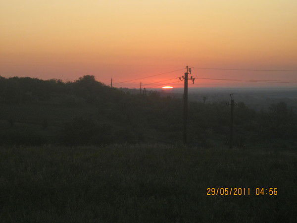 Антон Варава