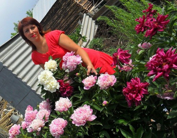 Анна Обручева