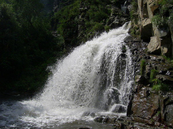 Наталья Ильина