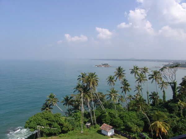 Недвижимость Ооо Пфк Аргус