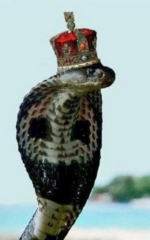 Император .