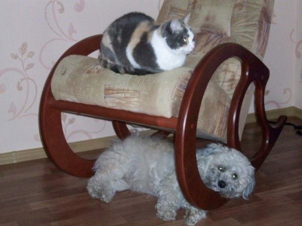 Оксана Лесникова