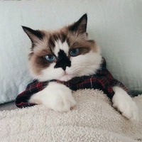 Анастасия Кононыхина