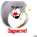 Лариса Котельникова