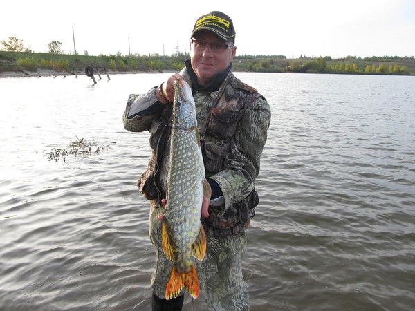 Игорь Софинский