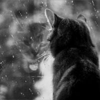 Катерина Гладкова