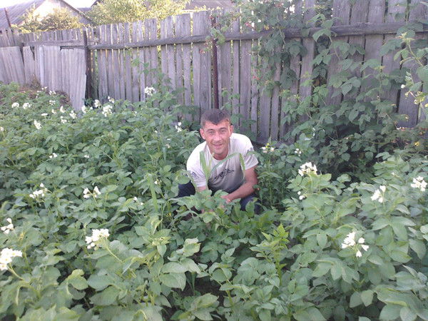 Александр Сигневич